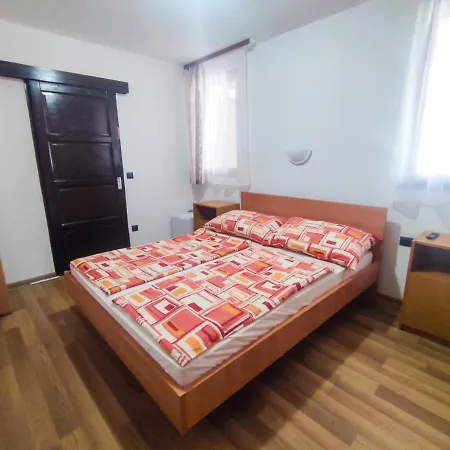 Gasthuis Viktoria Panzio 3*