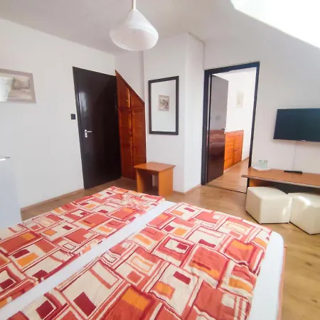 Gasthuis Viktoria Panzio