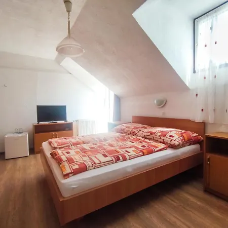 Gasthuis Viktoria Panzio 3*