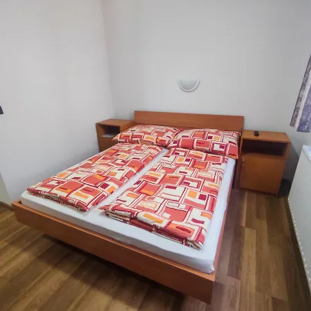 Gasthuis Viktoria Panzio