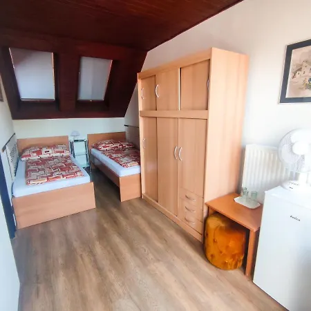 Gasthuis Viktoria Panzio