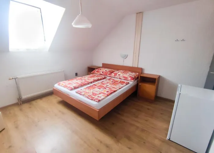 Viktoria Panzio ゲストハウス