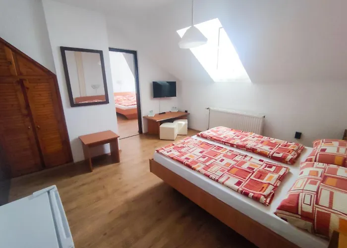 Casa de hóspedes Viktória Panzió 3*