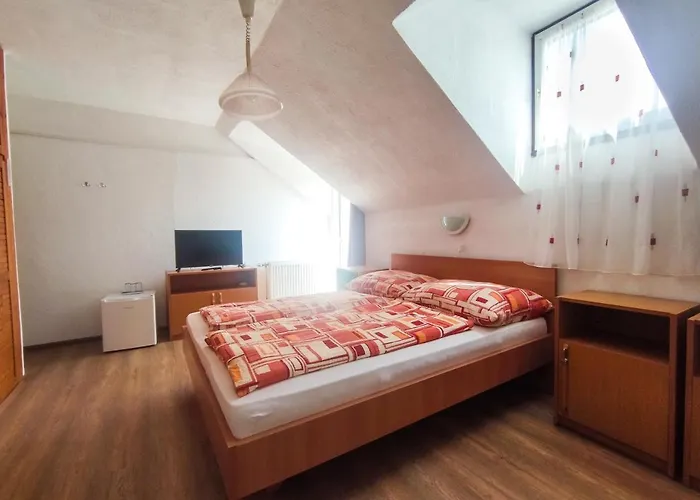 Casa de hóspedes Viktória Panzió 3*