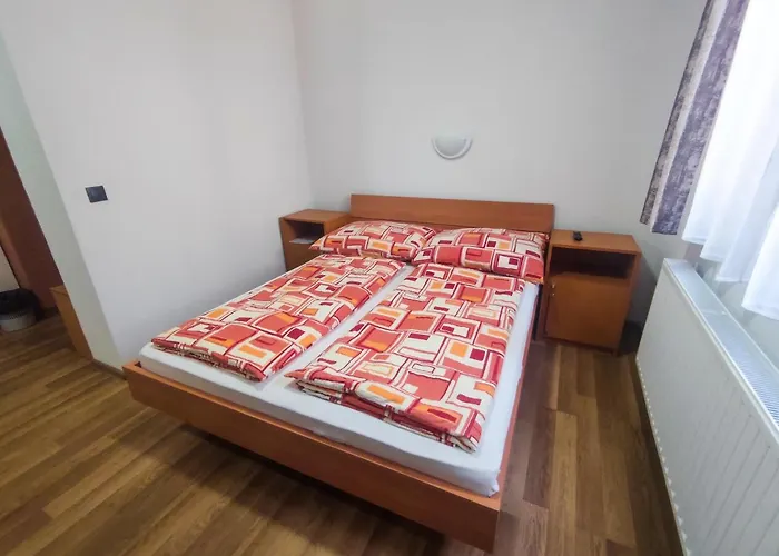 ゲストハウス Viktoria Panzio