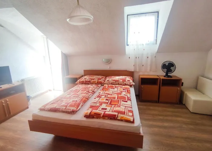 ゲストハウス Viktoria Panzio